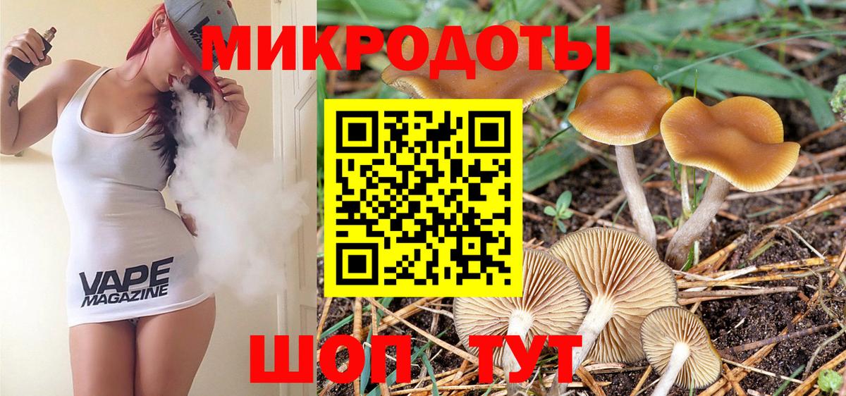 Галлюциногенные грибы Cubensis Курчалой