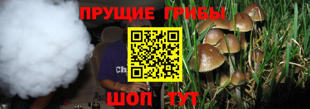 Галлюциногенные грибы Magic Shrooms  Вход с VPN  Курчалой 